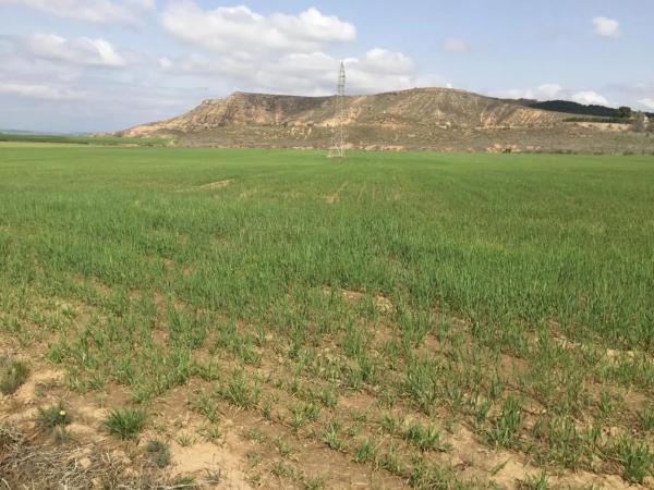 Terreno en calle Valdelayegua, 5