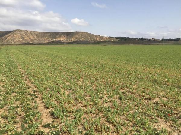 Terreno en calle Valdelayegua, 88