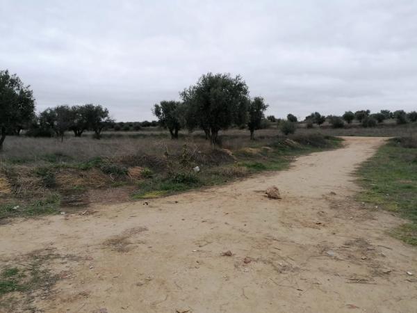 Terreno en Mejorada del Campo