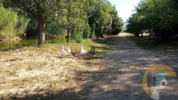 Terreno en camino Dehesa Vieja