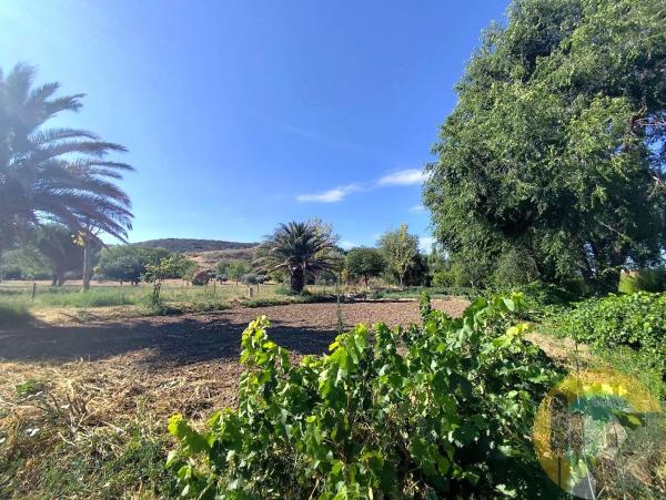 Terreno en camino Dehesa Vieja