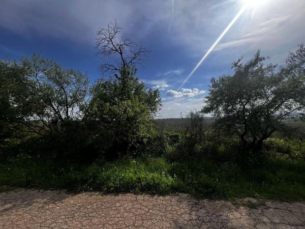 Terreno en Mejorada del Campo