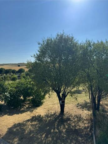 Terreno en Camarma de Esteruelas