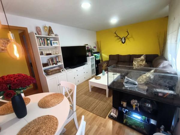 Terreno en el tallar, 44