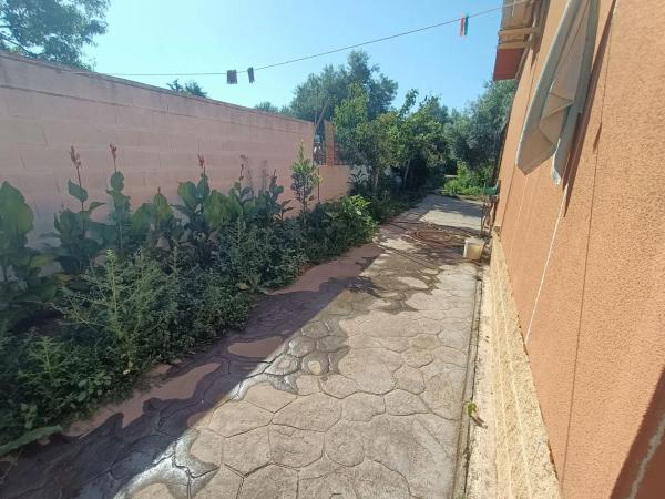 Terreno en el tallar, 44