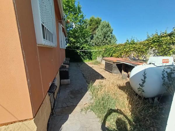 Terreno en el tallar, 44