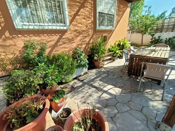 Terreno en el tallar, 44