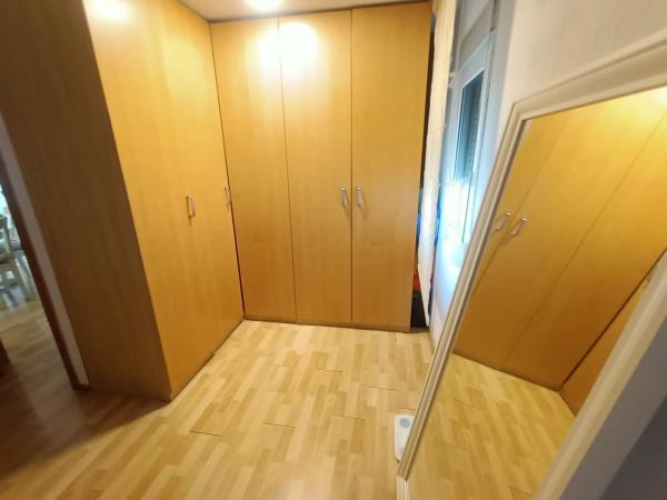 Terreno en el tallar, 44