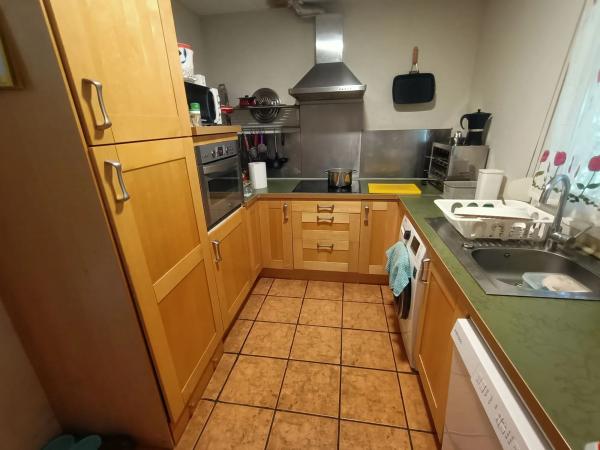 Terreno en el tallar, 44