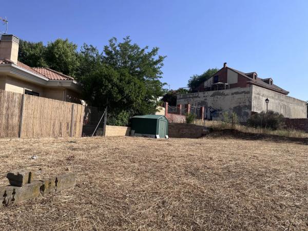 Terreno en calle Sauce, 23
