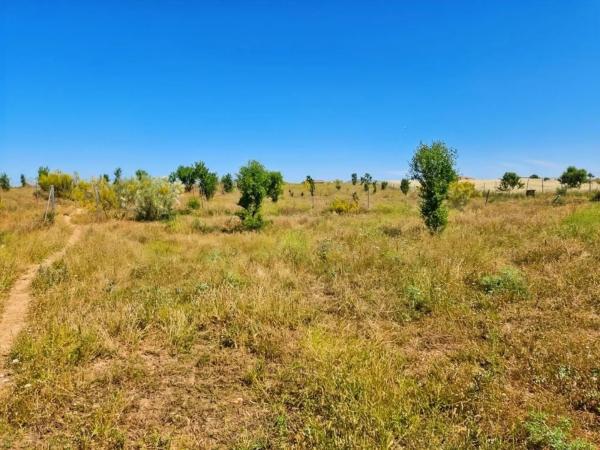 Terreno en Mejorada del Campo