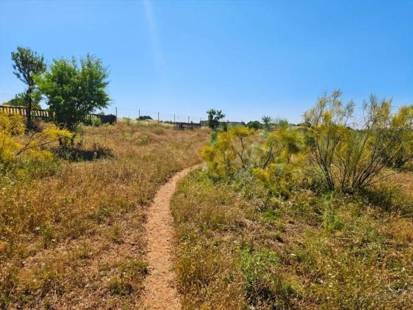 Terreno en Mejorada del Campo