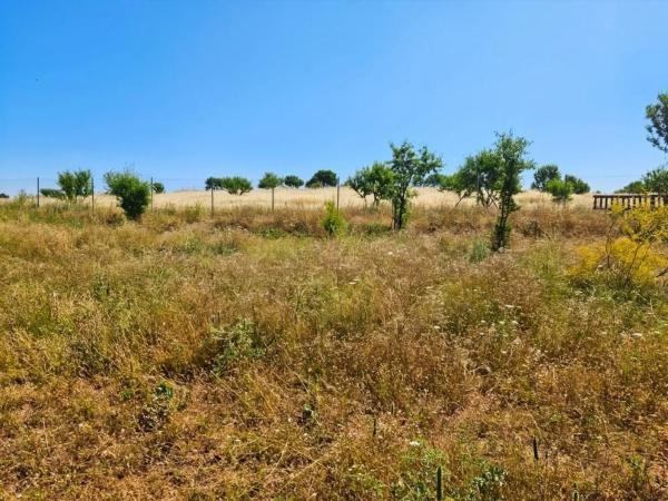Terreno en Mejorada del Campo