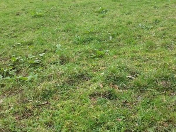 Terreno en camino de Alcala, 12