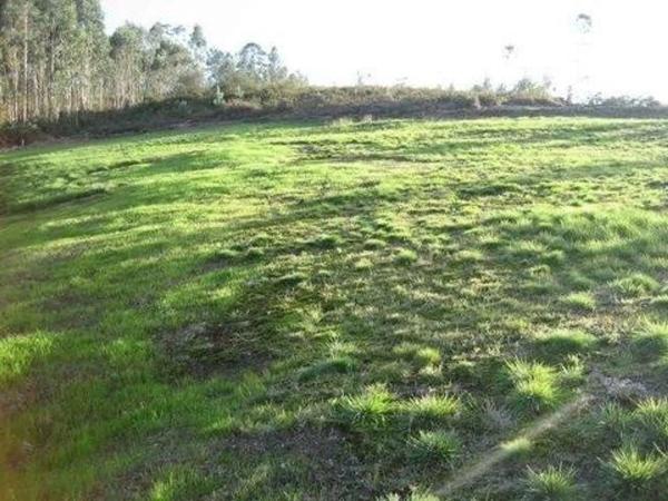 Terreno en camino de Alcala, 12