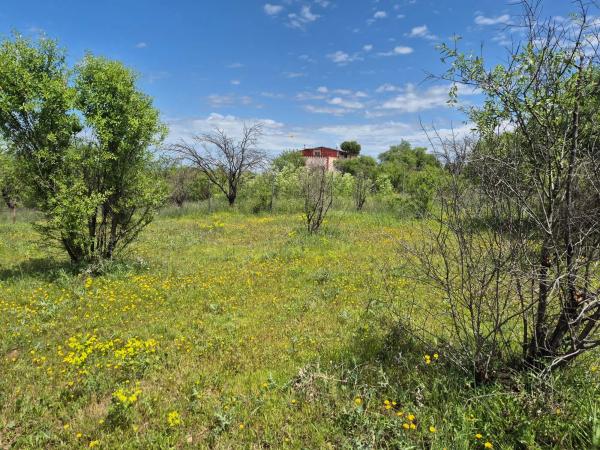 Terreno en camino de Alcala, 12