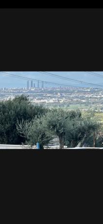 Terreno en camino de Alcala, 12