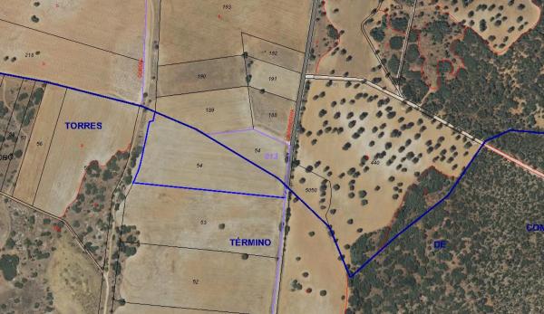 Terreno en camino del Llano Cobo, 2 Polig 2