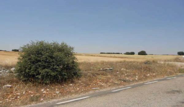 Terreno en camino del Llano Cobo, 2 Polig 2