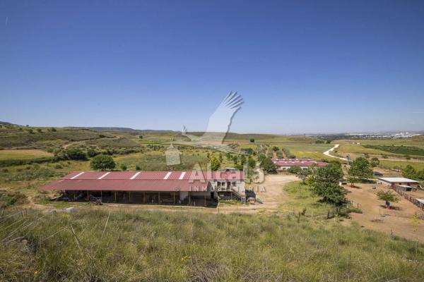 Terreno en Los Santos de la Humosa