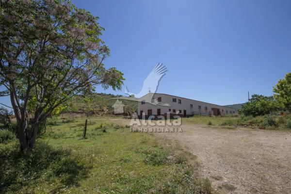 Terreno en Los Santos de la Humosa