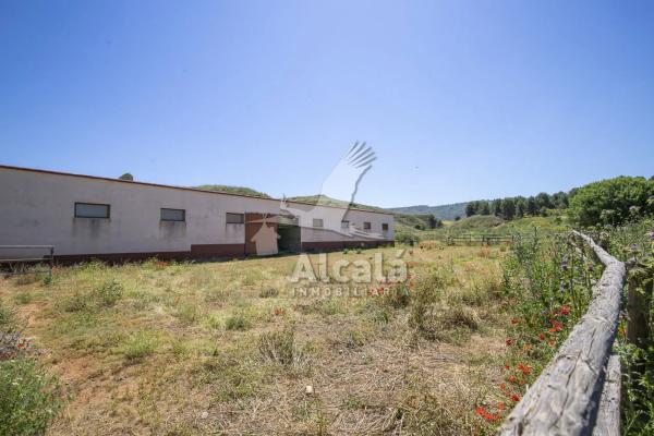 Terreno en Los Santos de la Humosa