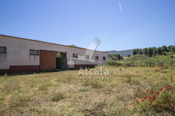 Terreno en Los Santos de la Humosa