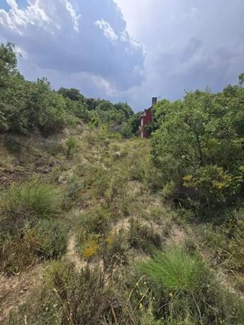 Terreno en calle Espliego s/n