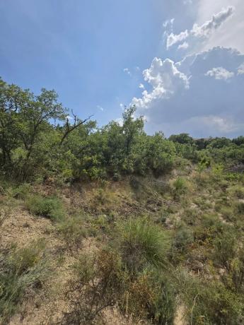 Terreno en calle Espliego s/n