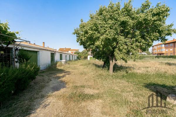 Terreno en camino de los Alamillos