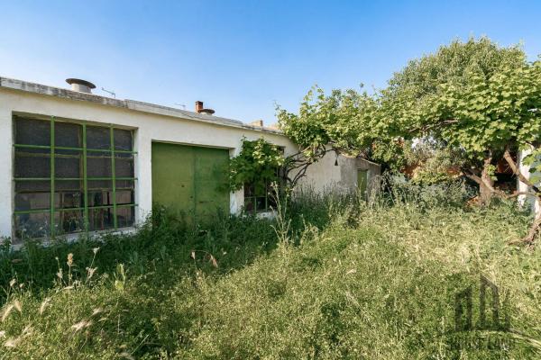 Terreno en camino de los Alamillos