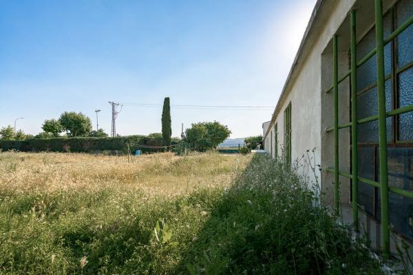 Terreno en camino de los Alamillos