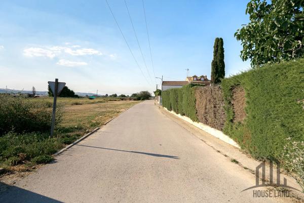 Terreno en camino de los Alamillos