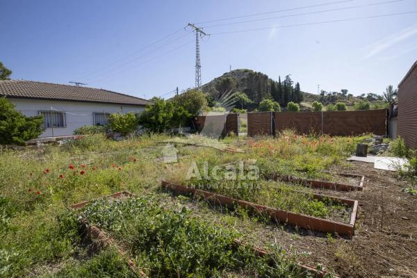 Terreno en Valverde de Alcala
