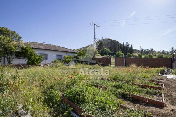 Terreno en Valverde de Alcala