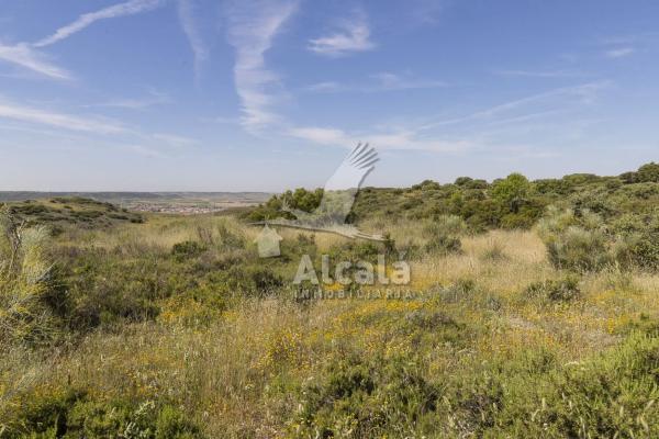Terreno en Villalbilla