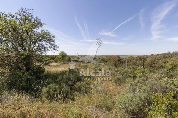 Terreno en Villalbilla