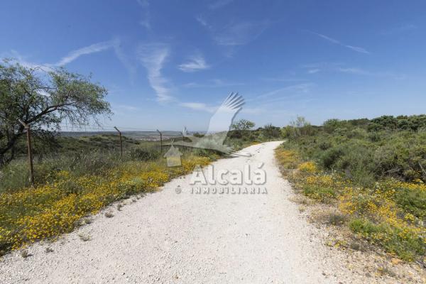 Terreno en Villalbilla