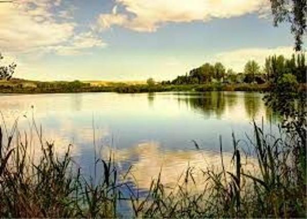 Terreno en calle de la Viña, 11