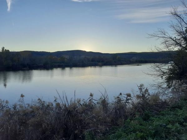 Terreno en calle de la Viña, 11
