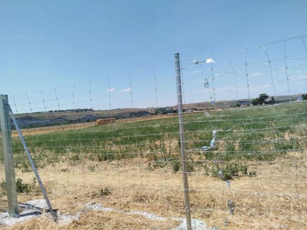 Terreno en camino de Quintana, 3