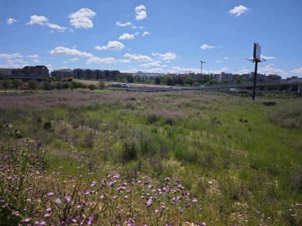 Terreno en calle República Dominicana, 1