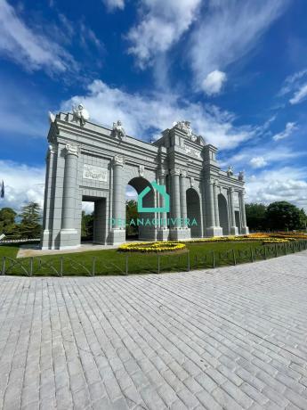 Terreno en calle Álamo
