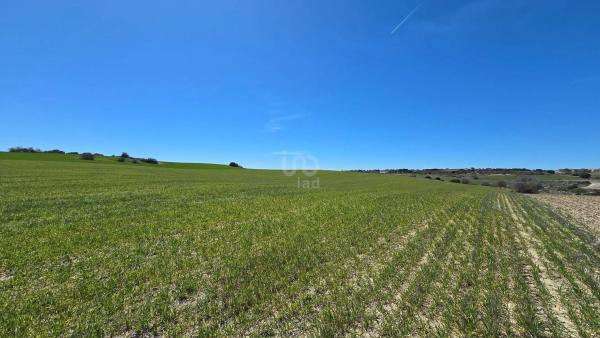 Terreno en camino de la Fuente, 10