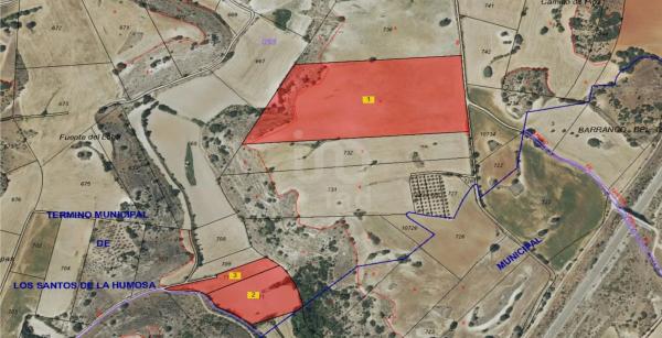 Terreno en camino de la Fuente, 10