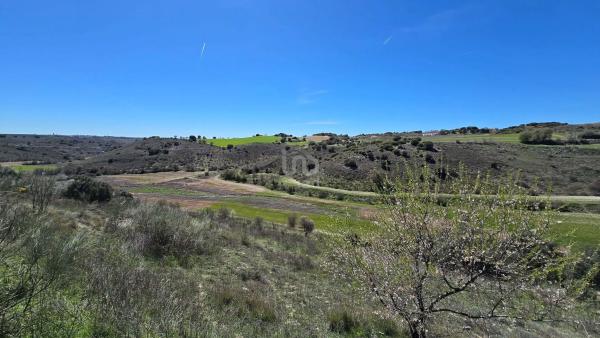 Terreno en camino de la Fuente, 10