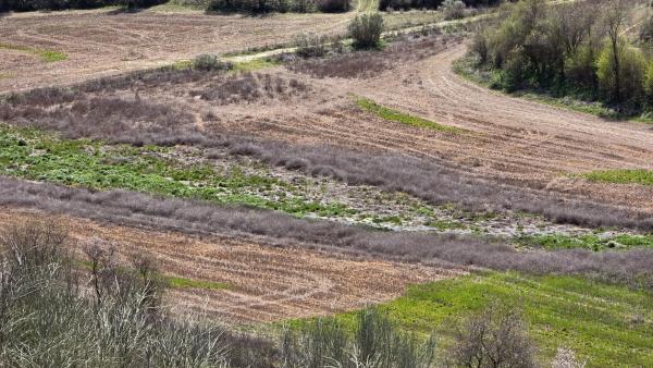 Terreno en camino de la Fuente, 10