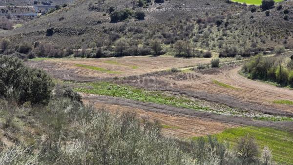 Terreno en camino de la Fuente, 10
