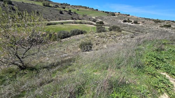 Terreno en camino de la Fuente, 10