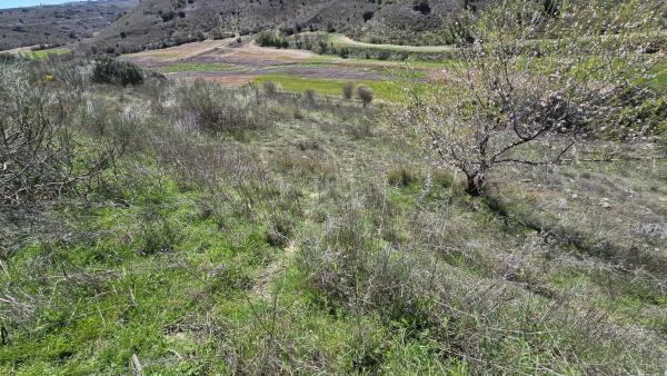 Terreno en camino de la Fuente, 10